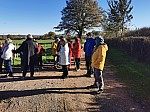 IMG_20241122_141240.jpg