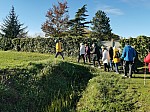 IMG_20241122_141630.jpg