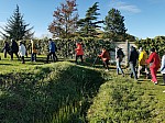 IMG_20241122_141640.jpg