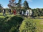 IMG_20241122_141648.jpg