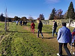 IMG_20241122_141845.jpg