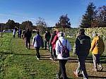 IMG_20241122_141850.jpg