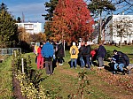 IMG_20241122_144300.jpg
