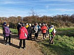 IMG_20241129_140430.jpg