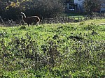 IMG_20241129_141245.jpg