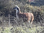IMG_20241129_141348.jpg