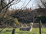IMG_20241129_141357.jpg