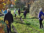 IMG_20241129_141359.jpg