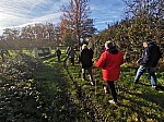 IMG_20241129_141414.jpg