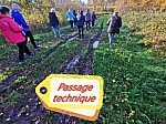 IMG_20241129_141749.jpg