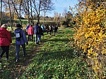 IMG_20241129_141750.jpg