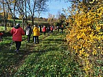IMG_20241129_141800.jpg