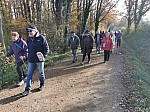 IMG_20241129_142312.jpg