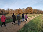 IMG_20241129_142450.jpg