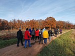 IMG_20241129_142501.jpg