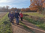 IMG_20241129_142614.jpg