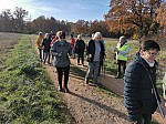 IMG_20241129_142624.jpg