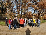 IMG_20241129_143119.jpg