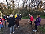 IMG_20241129_150913.jpg