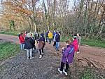 IMG_20241129_150933.jpg