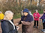 IMG_20241129_151230.jpg