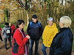 IMG_20241129_151247.jpg