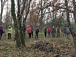 IMG_20241129_152623.jpg