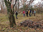 IMG_20241129_152644.jpg