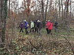 IMG_20241129_152647.jpg