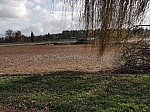 IMG_20241206_134759.jpg