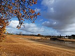 IMG_20241206_135302.jpg