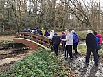 IMG_20241206_140925.jpg