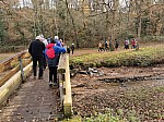 IMG_20241206_140935.jpg