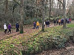 IMG_20241206_140954.jpg