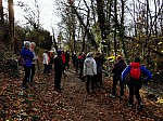 IMG_20241206_141430.jpg
