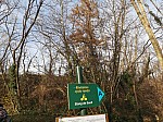 IMG_20241206_141954.jpg
