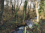IMG_20241206_142502.jpg