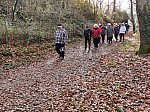IMG_20241206_142704.jpg
