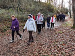 IMG_20241206_142719.jpg
