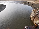 IMG_20241206_145539.jpg