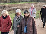 IMG_20241206_150247.jpg