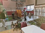 IMG_20241212_085936.jpg