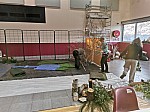 IMG_20241212_085941.jpg