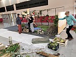 IMG_20241212_090441.jpg