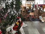 IMG_20241212_095004.jpg
