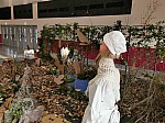IMG_20241212_095050.jpg
