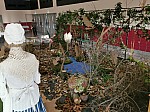 IMG_20241212_095145.jpg