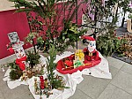 IMG_20241212_122227.jpg