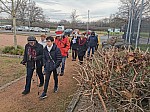 IMG_20241213_134709.jpg