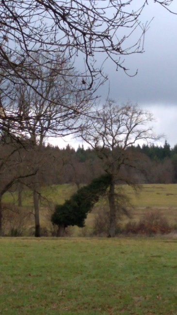 IMG-20250106-WA0002.jpg
